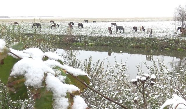 Ardahan beyaza büründü