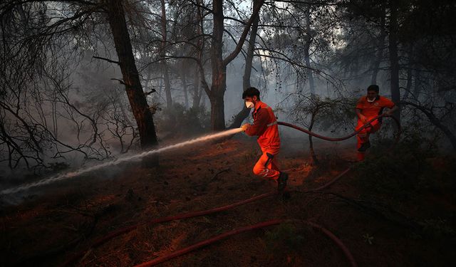 Çanakkale'de çıkan orman yangını kontrol altına alındı