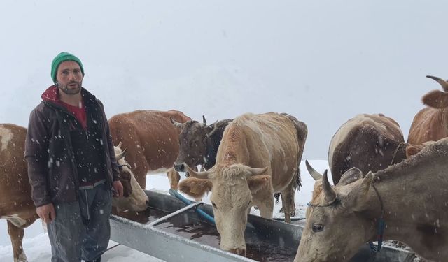 Bayburt'ta besicilerin karla mücadelesi