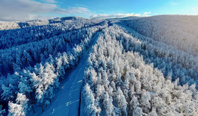 Düzce ve Bolu'nun yüksek kesimlerine kar yağdı