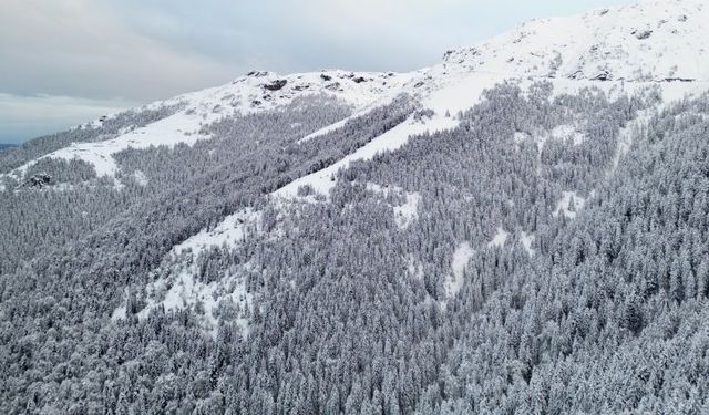 Doğu Karadeniz'de "sarı" uyarı: Sağanak ve kar yağışına dikkat