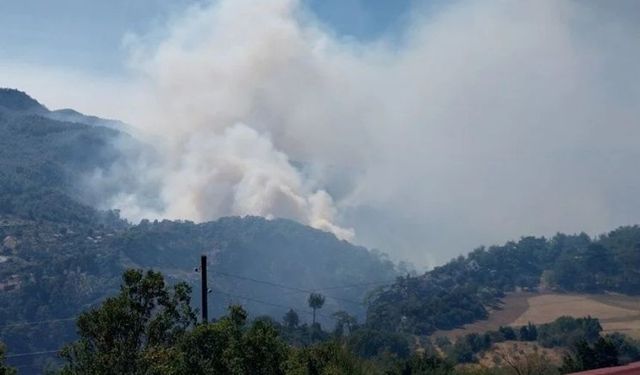 Muğla'daki orman yangını kısmen kontrol altında