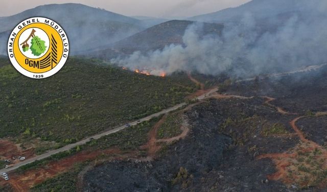 OGM'den iddialara cevap: Orman yangınında zarar gören arazi şirkete mi tahsis edilecek?