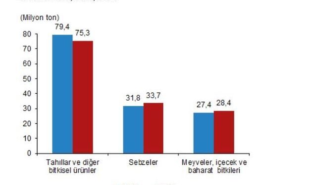 TÜİK: Tarla üretimi azalacak, meyve-sebze üretimi artacak