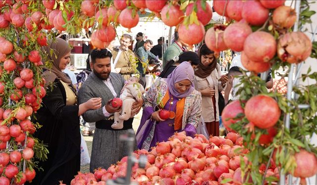 Irak'ın Halepçe şehrinde, 3 gün sürecek geleneksel Nar Festivali başladı