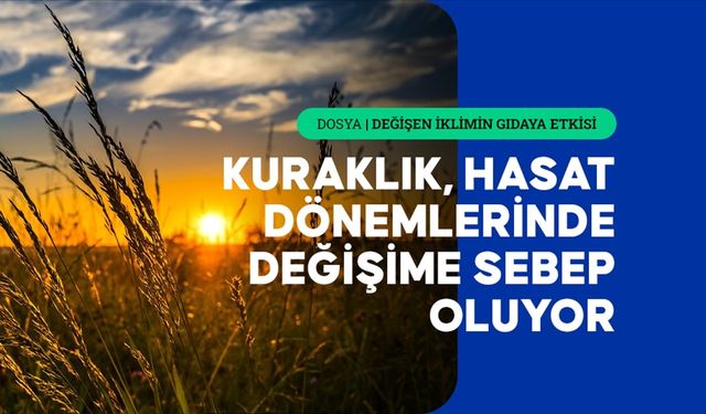 Aşırı sıcaklıkların getirdiği kuraklık ve dengesiz yağışlar tarımsal üretimi etkiliyor