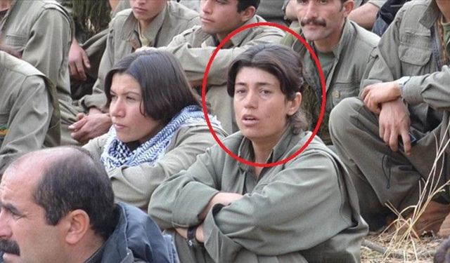 MİT, terör örgütü PKK/YPJ'nin sözde sorumlularından Hezal Belge'yi, etkisiz hale getirdi