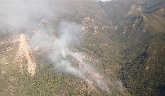 Hatay'daki orman yangınına havadan müdahaleye yeniden başlandı