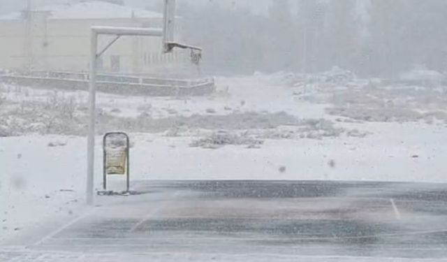 Van'da Güzeldere Geçidi'nde kar yağışı etkili oldu