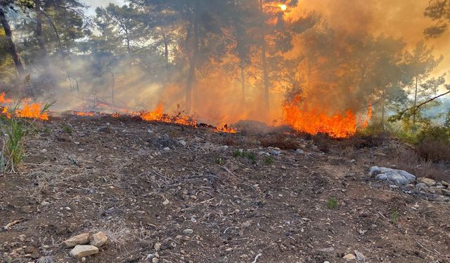 Antalya'da ormana düşen hava aracı yangına neden oldu