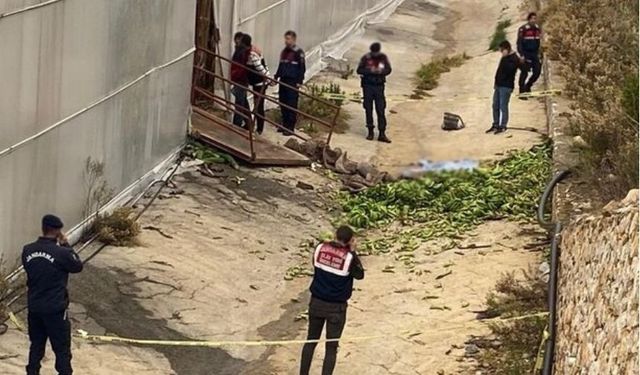 Alanya'da muz serasında kasanın halatı koptu: 2 ölü, 2 ağır yaralı