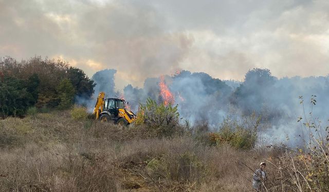 Çanakkale'de orman yangını