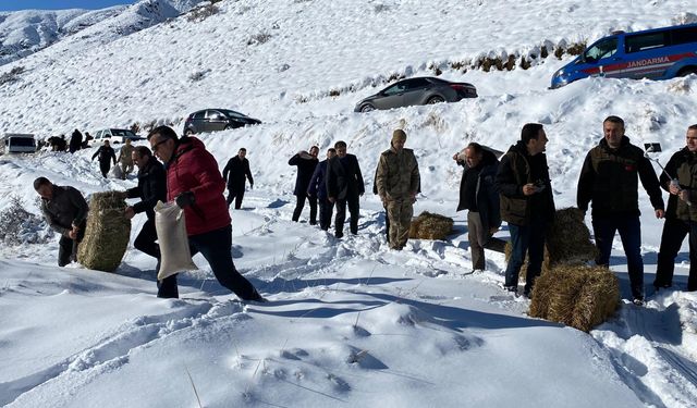 Erzurum'da yaban hayatı için doğaya yem bırakıldı