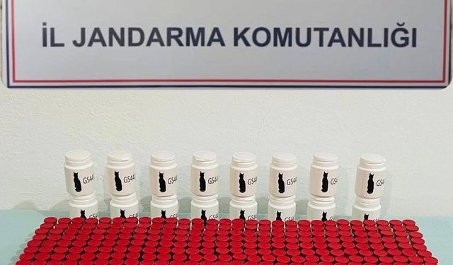 Kırıkkale'de, 10 milyon lira değerinde satışı yasak kedi ilacı ele geçirildi