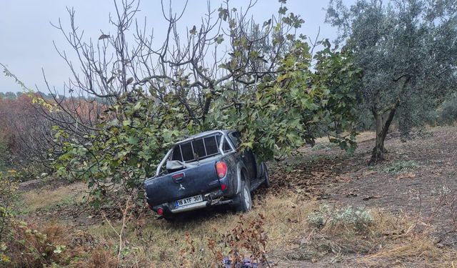 Mevsimlik işçileri taşıyan kamyonet ağaca çarptı: 1 ölü, 7 yaralı