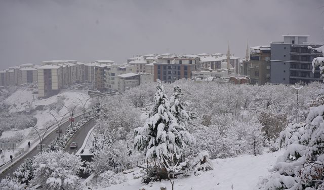 Şırnak'ta 1 belde ile 7 köy yolu kardan kapandı