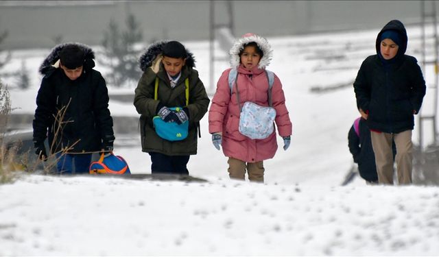 Kars, Ardahan, Ağrı ve Tunceli'de kar yağışı etkili oldu