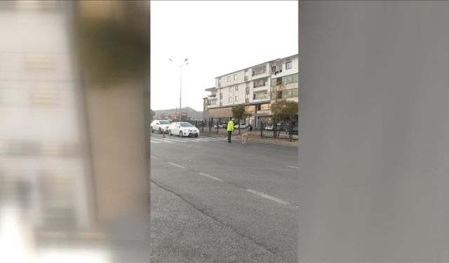 Bingöl'de polis yolun karşısına geçmeye çalışan köpek için trafiği durdurdu