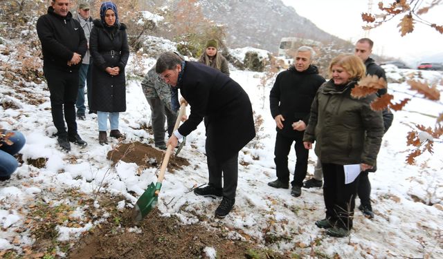 'Yitik lale’ 132 yıl sonra ana vatanında toprakla buluştu