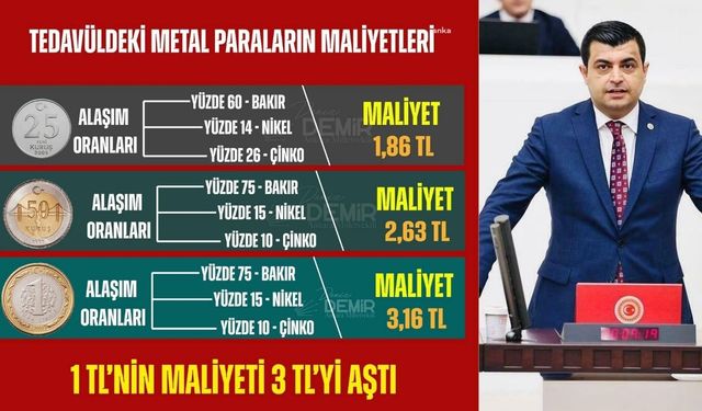 1 TL'nin maliyet 3 TL'yi aştı