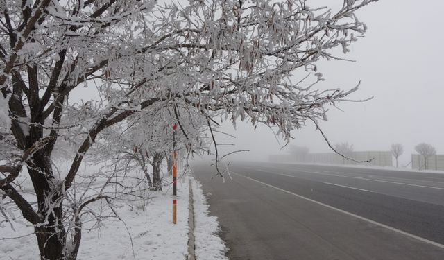 Bitlis eksi 13,8'i gördü; ağaçlar kırağı ile kaplandı