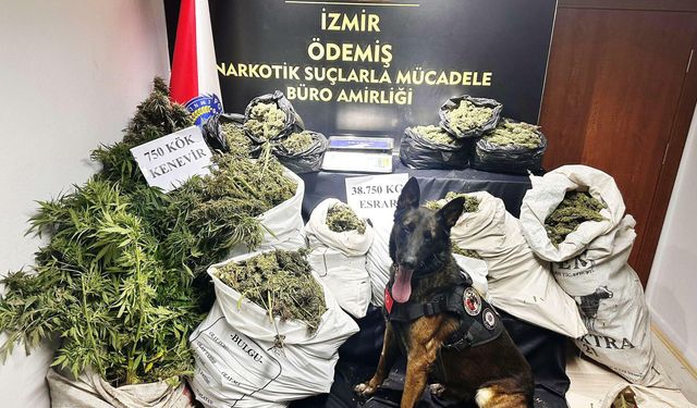 İzmir'de 38 kilo 750 gram esrar ele geçirildi