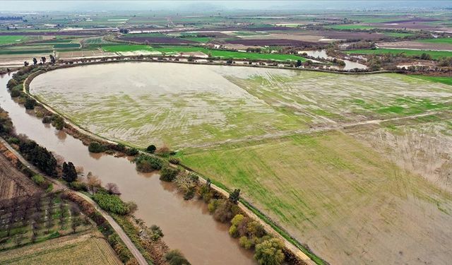 Kuraklık nedeniyle çekilen Büyük Menderes Nehri yağmur sularıyla yeniden canlandı