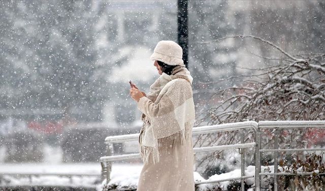 Doğu Anadolu'da 4 ilde kar yağışı, Kars'ta soğuk hava etkili oluyor