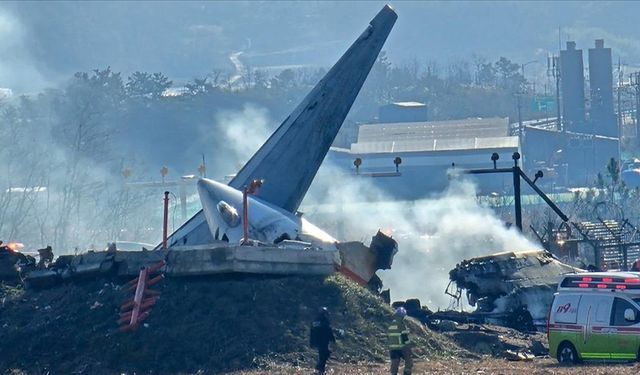 Güney Kore'de 179 kişinin öldüğü "Jeju Air 7C2216" kazasının nedeni sorgulanıyor