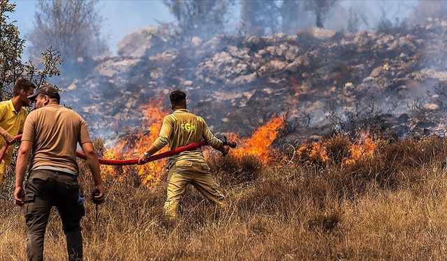 Orman yangınına neden olma suçuna 10 yıla kadar hapis istemi