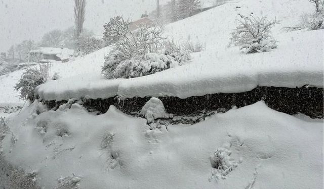 Türkiye'nin en soğuk yeri: Termometreler eksi 23,3'ü gösterdi