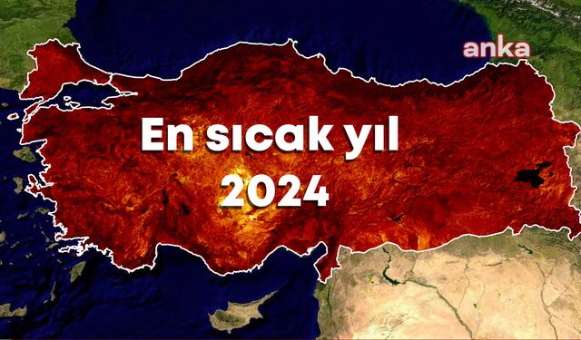 2024 yılı son 53 yılın "en sıcak" yılı olarak tarihe geçti