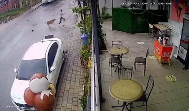 Sancaktepe'de sahipsiz köpeklerin 14 yaşındaki çocuğa saldırısı güvenlik kamerasında