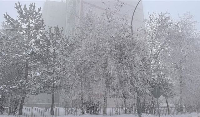 Doğu Anadolu'da 5 ilde sis, kırağı ve buzlanma oluştu