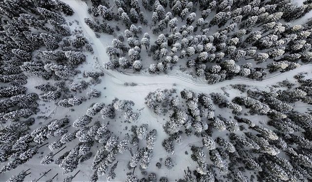 Anadolu'nun yüce dağı Ilgaz doğa tutkunlarını cezbediyor