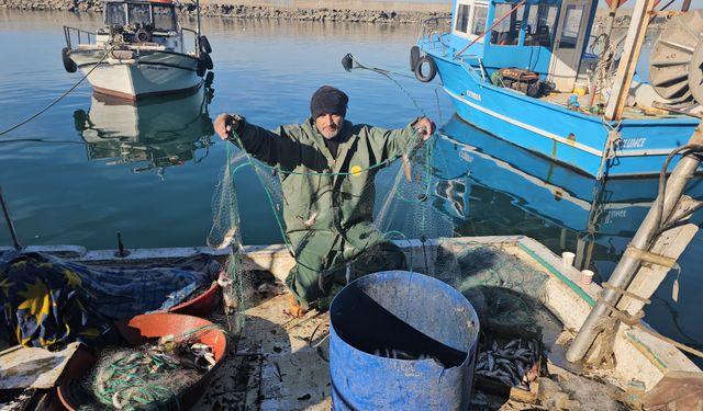 Zonguldak'ta bereketli balık sezonu