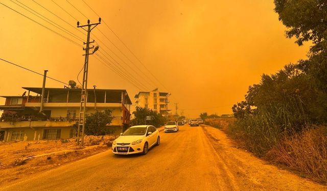 Hatay'da ormanlık alanda yangın çıktı