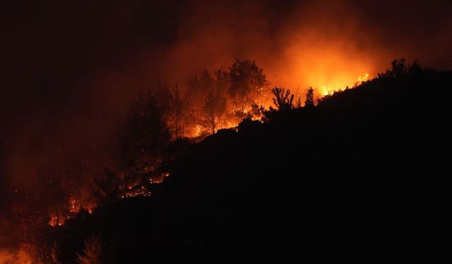 İzmir'deki orman yangınları | Seferihisar Belediye Başkanı'ndan açıklama