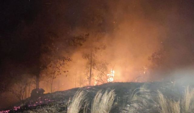 Seferihisar, Genel Hayata Etkili Afet Bölgesi ilan edildi