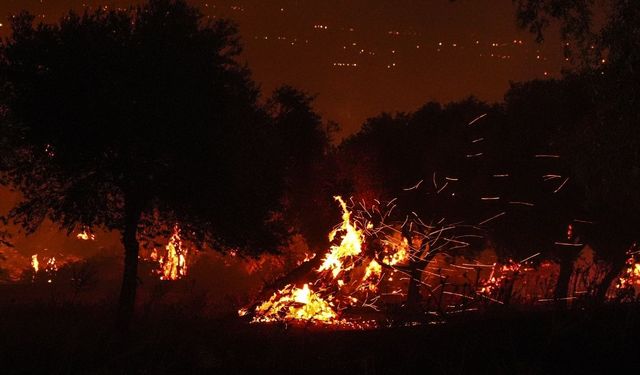 İzmir'in Ödemiş ilçesindeki orman yangınına müdahale sürüyor