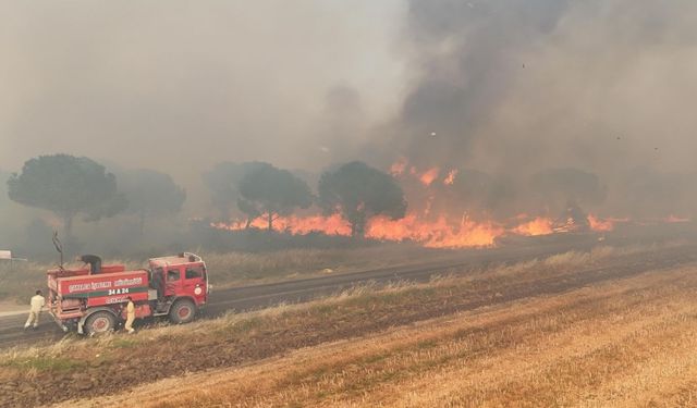 Silivri'deki orman yangını kontrol altına alındı