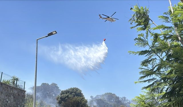 Bodrum'da tarım arazisi ve otluk alanda çıkan yangın söndürüldü