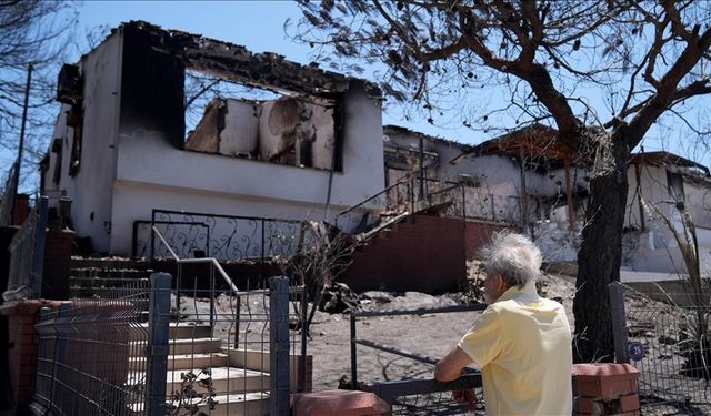 Menderes ve Seferihisar'da, orman yangınlarından geriye siyah örtü kaldı