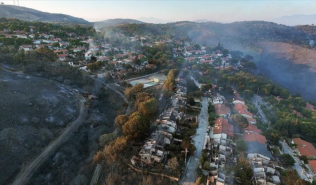 İzmir'de orman yangınlarının ardından hasar tespit çalışmaları tamamlandı