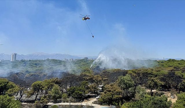 Antalya'da son bir haftada çıkan 37 orman yangınında 52 hektarlık alan zarar gördü
