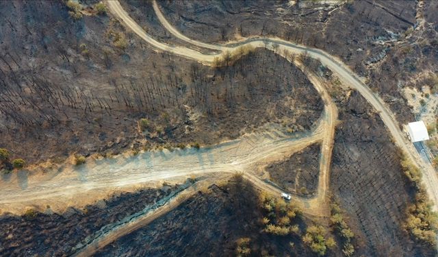 Hatay'da devam eden orman yangınında zarar gören alanlar havadan görüntülendi