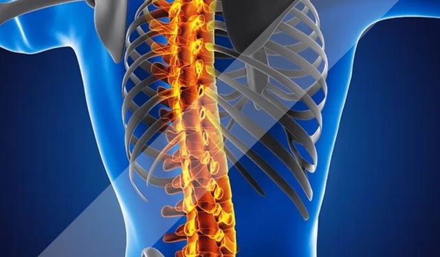 Çocuk Skolyozunda Erken Tanı : Ailelerin Mutlaka Bilmesi Gereken Noktalar