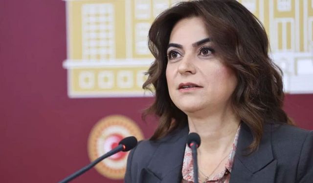 DEM Partili Koçyiğit'ten İmralı ziyareti sonrası ilk mesaj