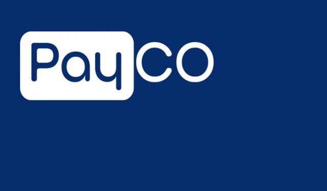 PAYCO Elektronik Para ve Ödeme Hizmetleri AŞ'ye yönelik soruşturmada 9 şüpheli tutuklandı