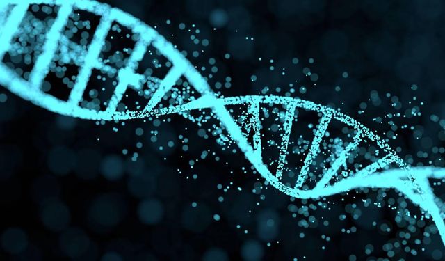 Araştırma: Erkek cinsiyetini belirleyen Y kromozomu yok oluyor